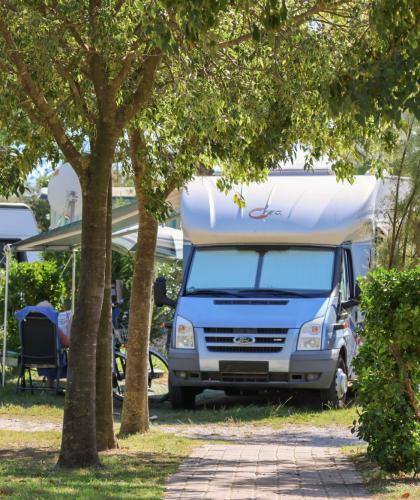 Camper e roulotte parcheggiati in un campeggio ombreggiato.