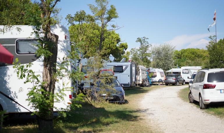 Camper parcheggiati in un'area verde con alberi e cielo sereno.