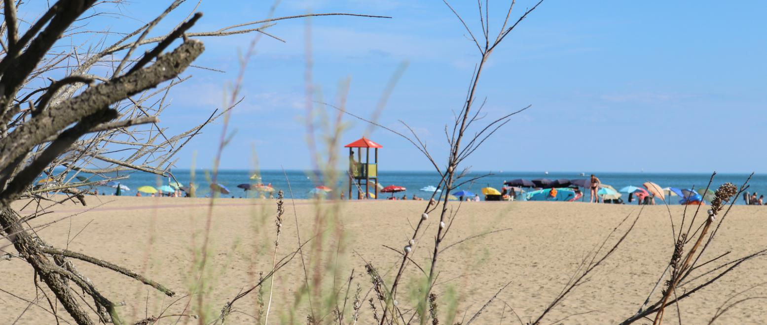 capalonga nl camping-aan-het-strand 017