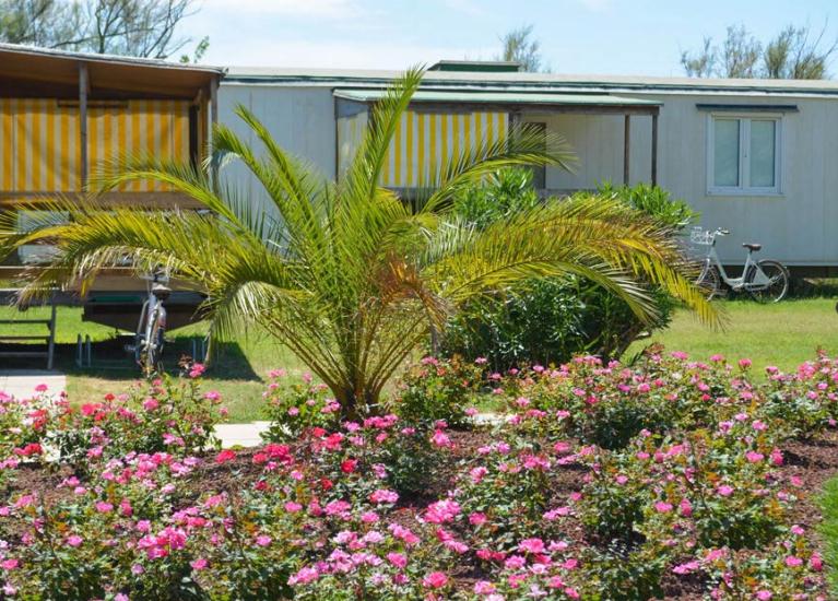 capalonga nl suite-caravan-plus-pineta 018