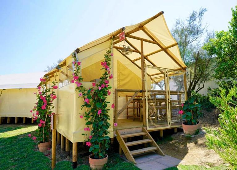 capalonga de summer-tent 015